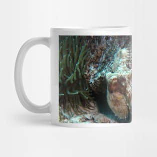 Caribbean Reef Octopus in Coral Reef home Mug